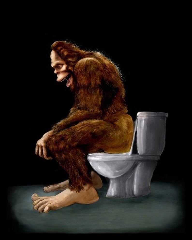 Bigfoot Wrecking Toilet.jpg