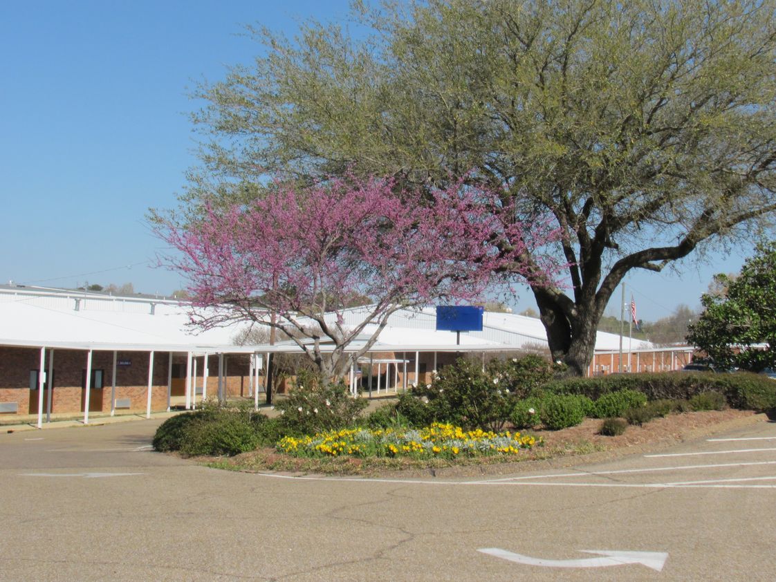 starkville-academy-u5iGsA.jpg