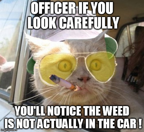Officer If You Look Carefully.jpg