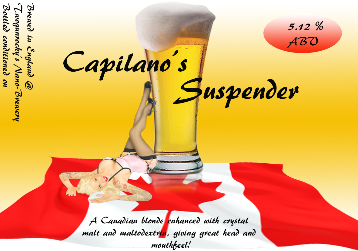 Capilano's suspender.jpg