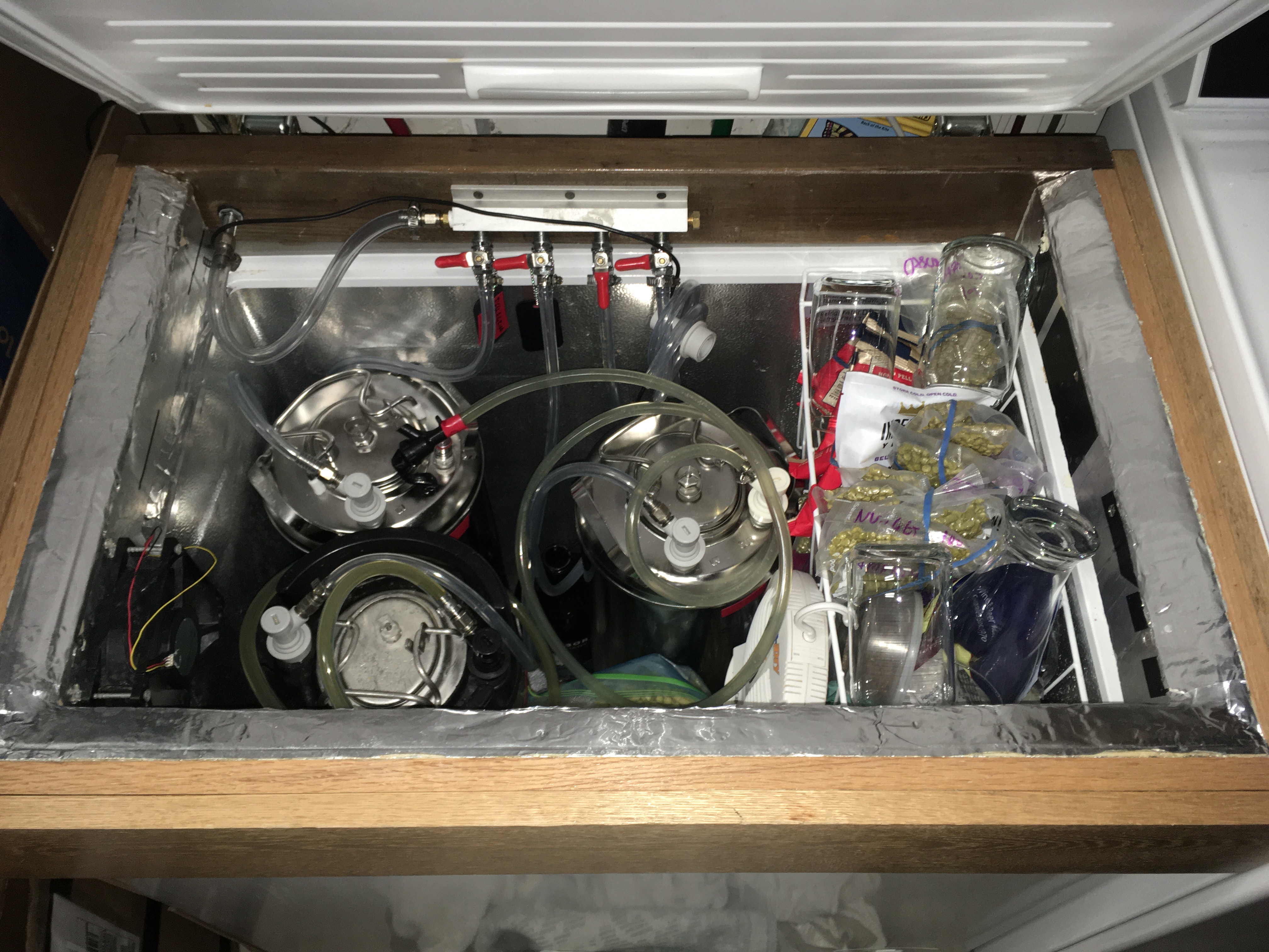 Keezer Interior 2021.JPG