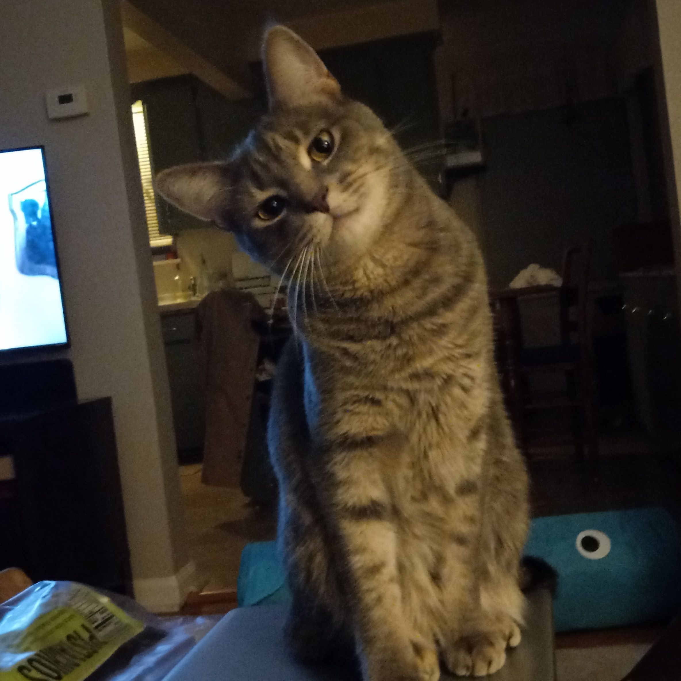 can I have beer.jpg