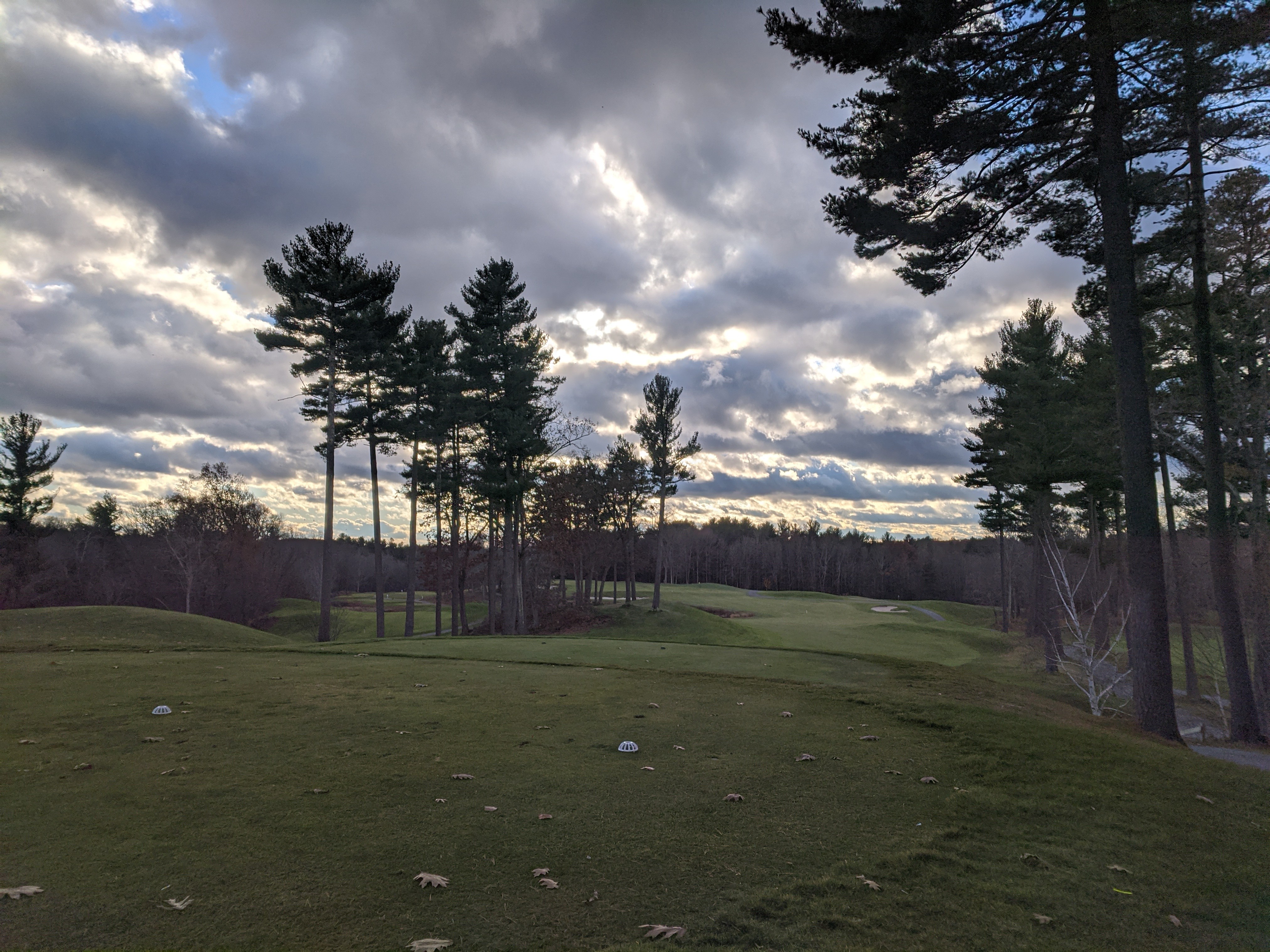 IMG_20211119_143536.jpg