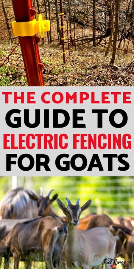 The-Complete-Guide-to-Electric-Fence-for-Goats-2-1.jpg