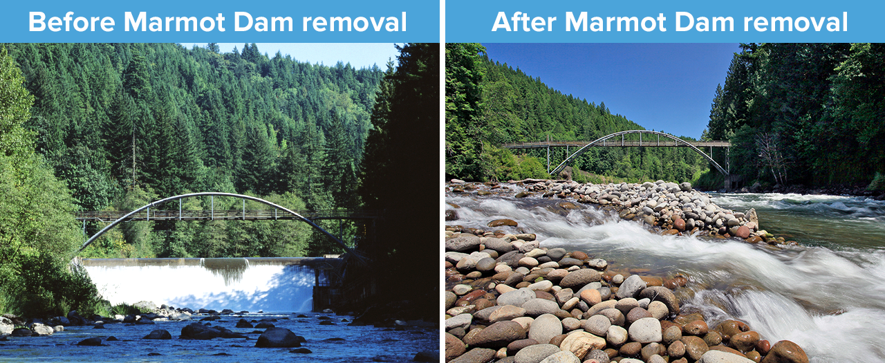 2017-07-24-Marmot-Dam-before-and-after2.png