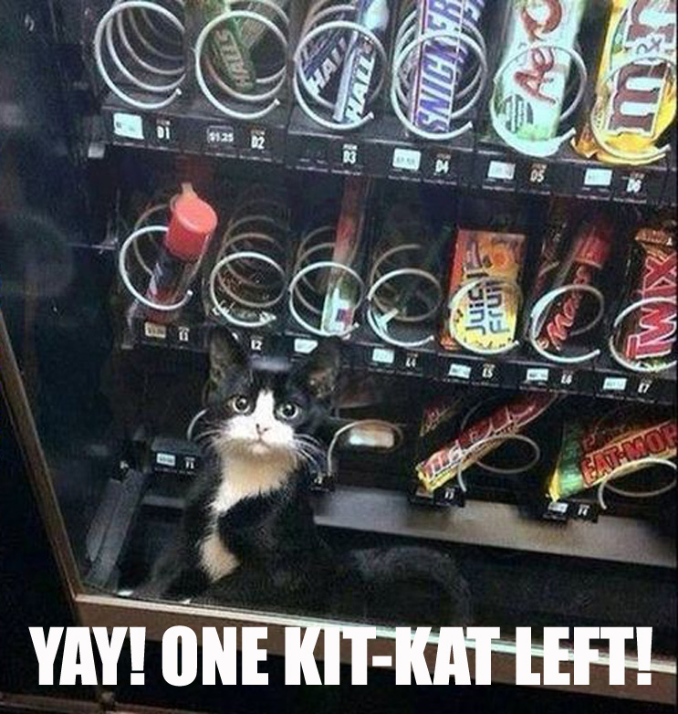 KitKat.jpg