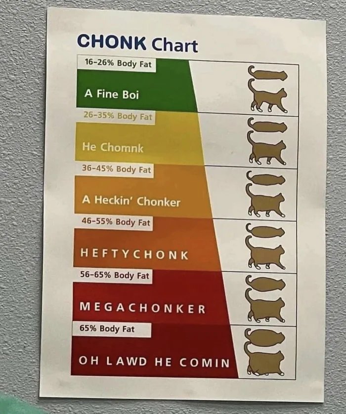 The--chonk-chart.jpg