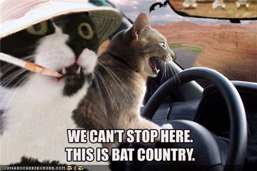 BatCountry.jpg