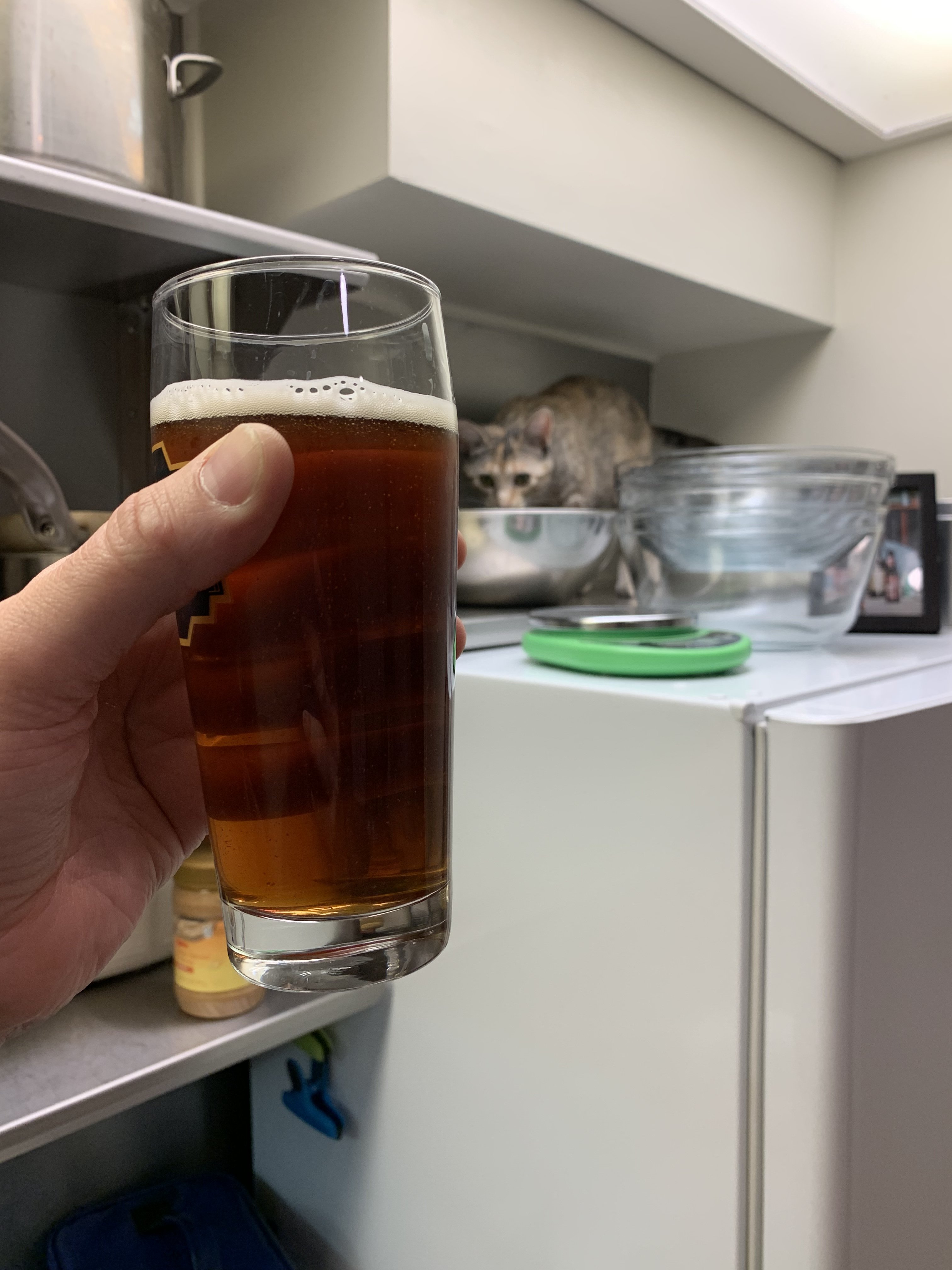 9C55F0FA-B751-4900-B062-D0562073B54D.jpeg