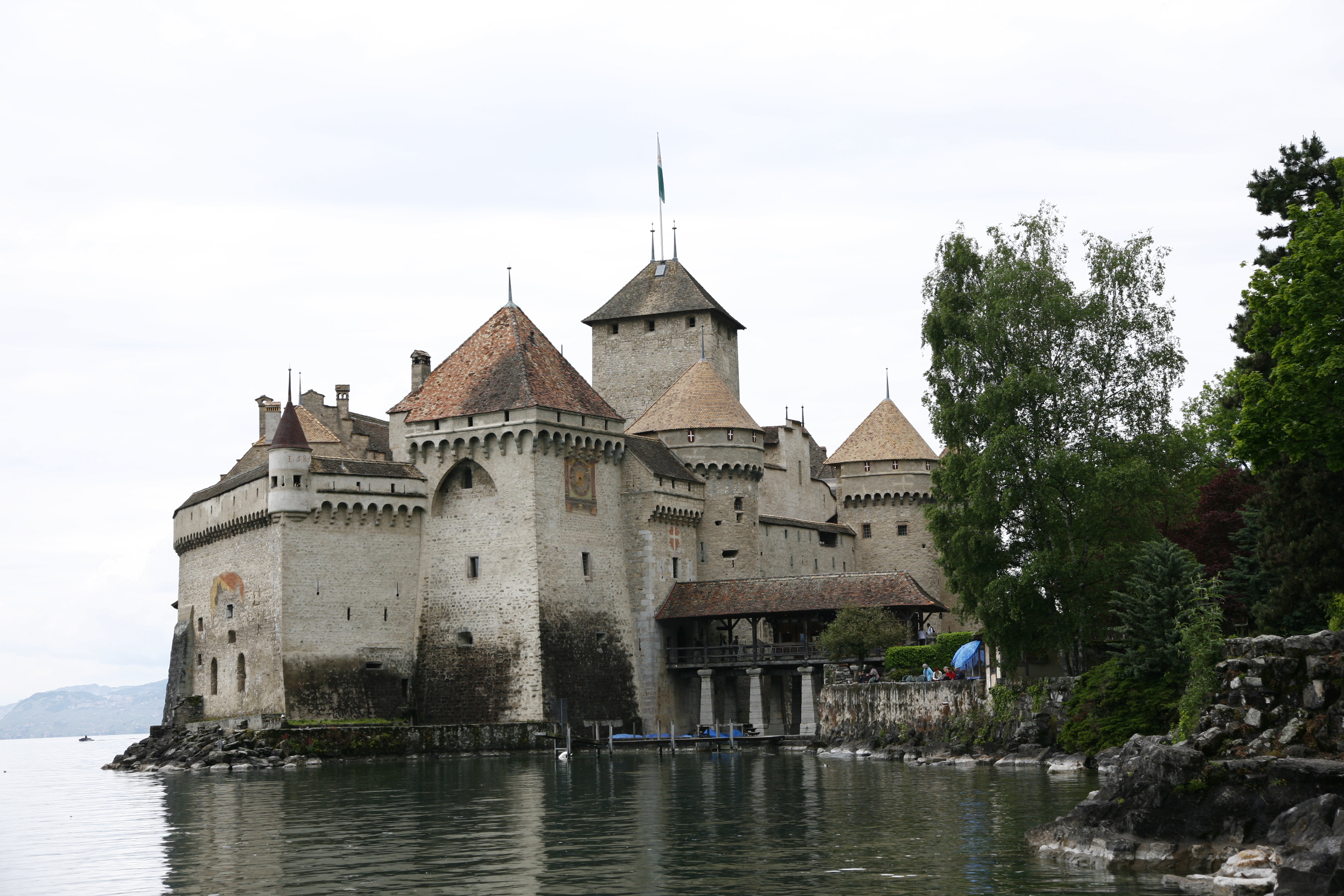 _MG_2600.JPG