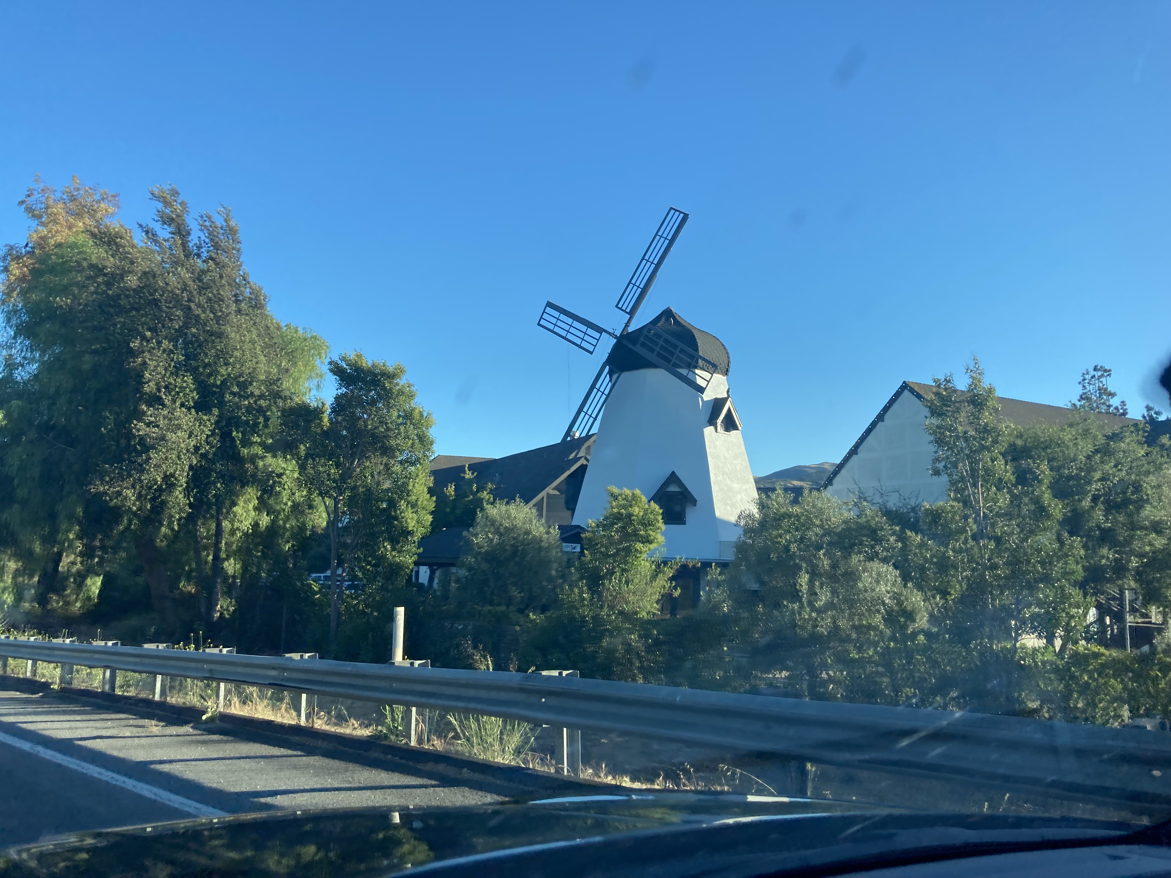 IMG_2159.jpeg