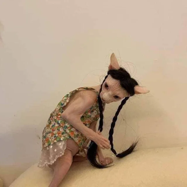 1658430920890.png