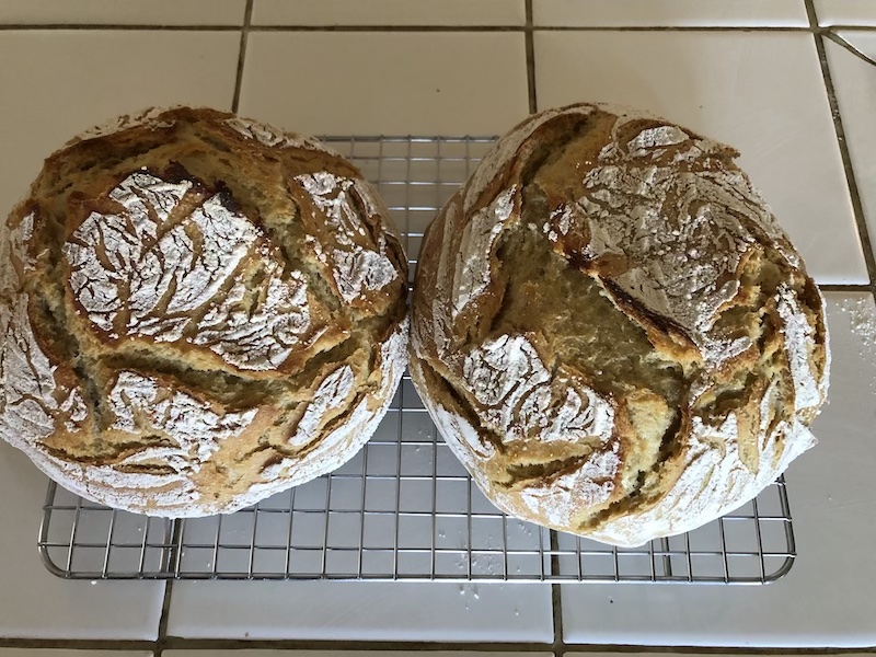 latest_loaves.jpg