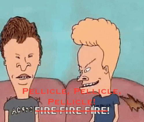 Beavis Pellicle.jpg