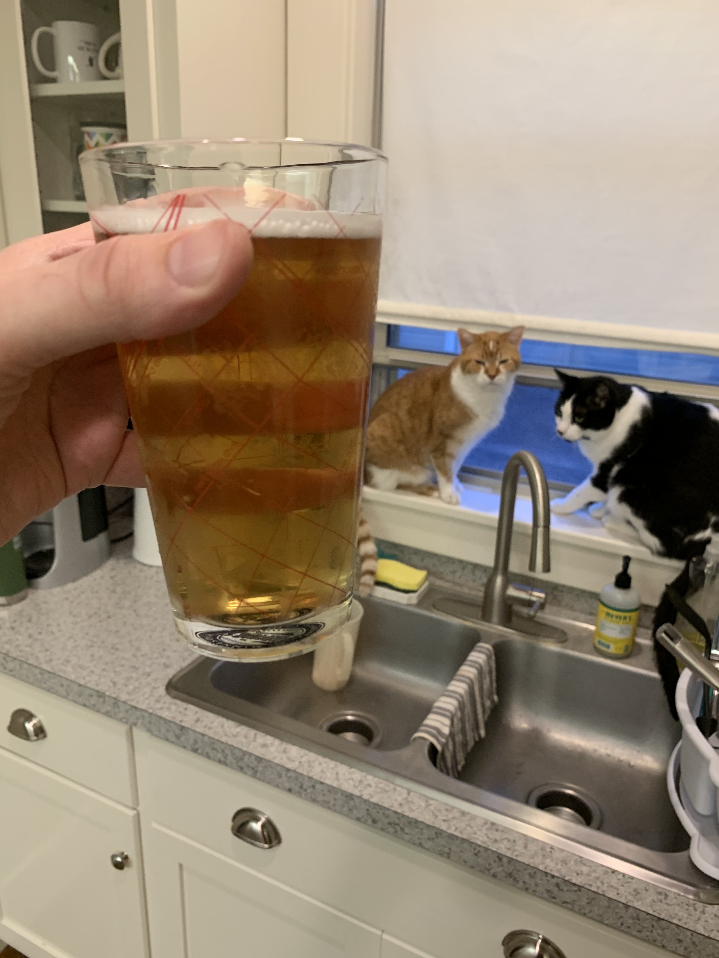 E50C88FC-E479-402B-A8D5-17DF6346E147.jpeg