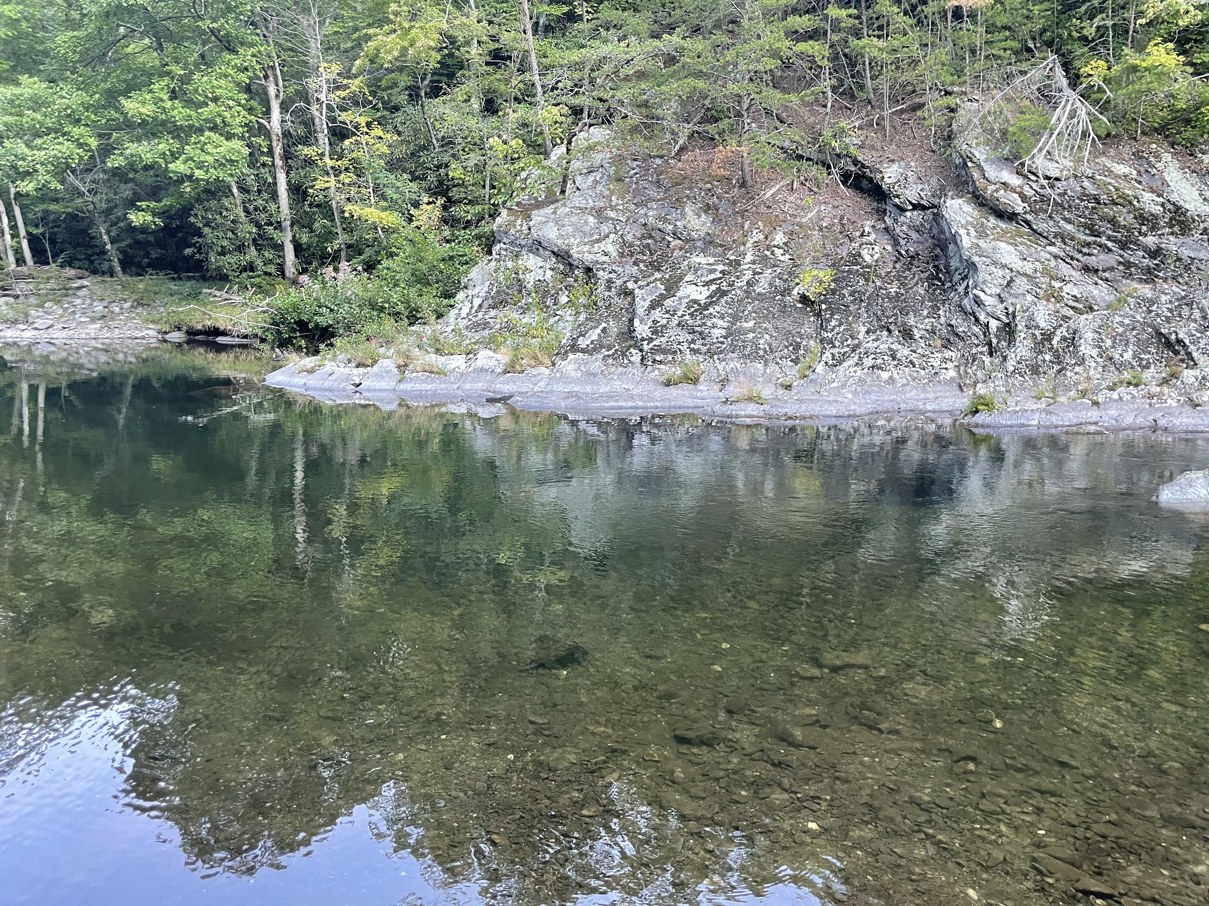 B4BA42FA-3528-403F-A116-779F8314771E.jpeg