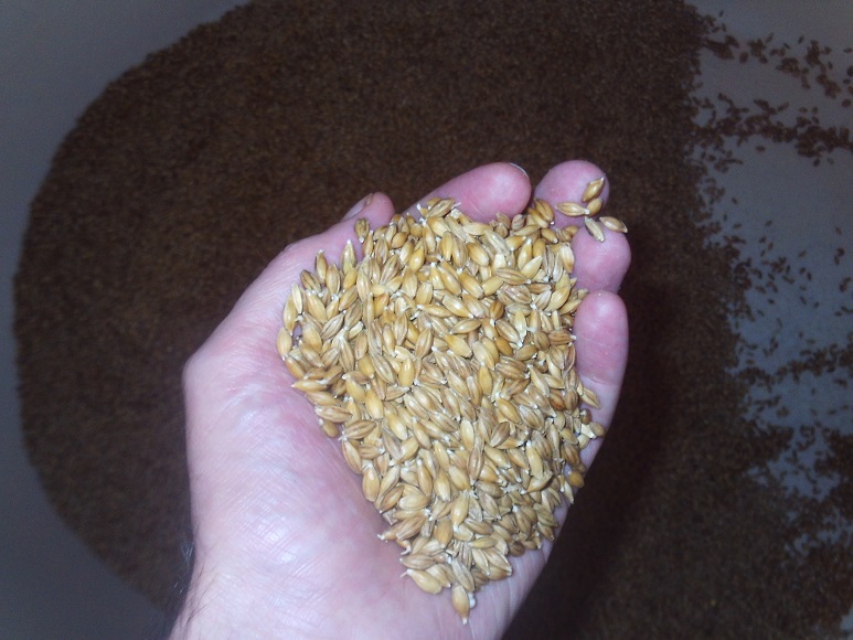 chitting.jpg