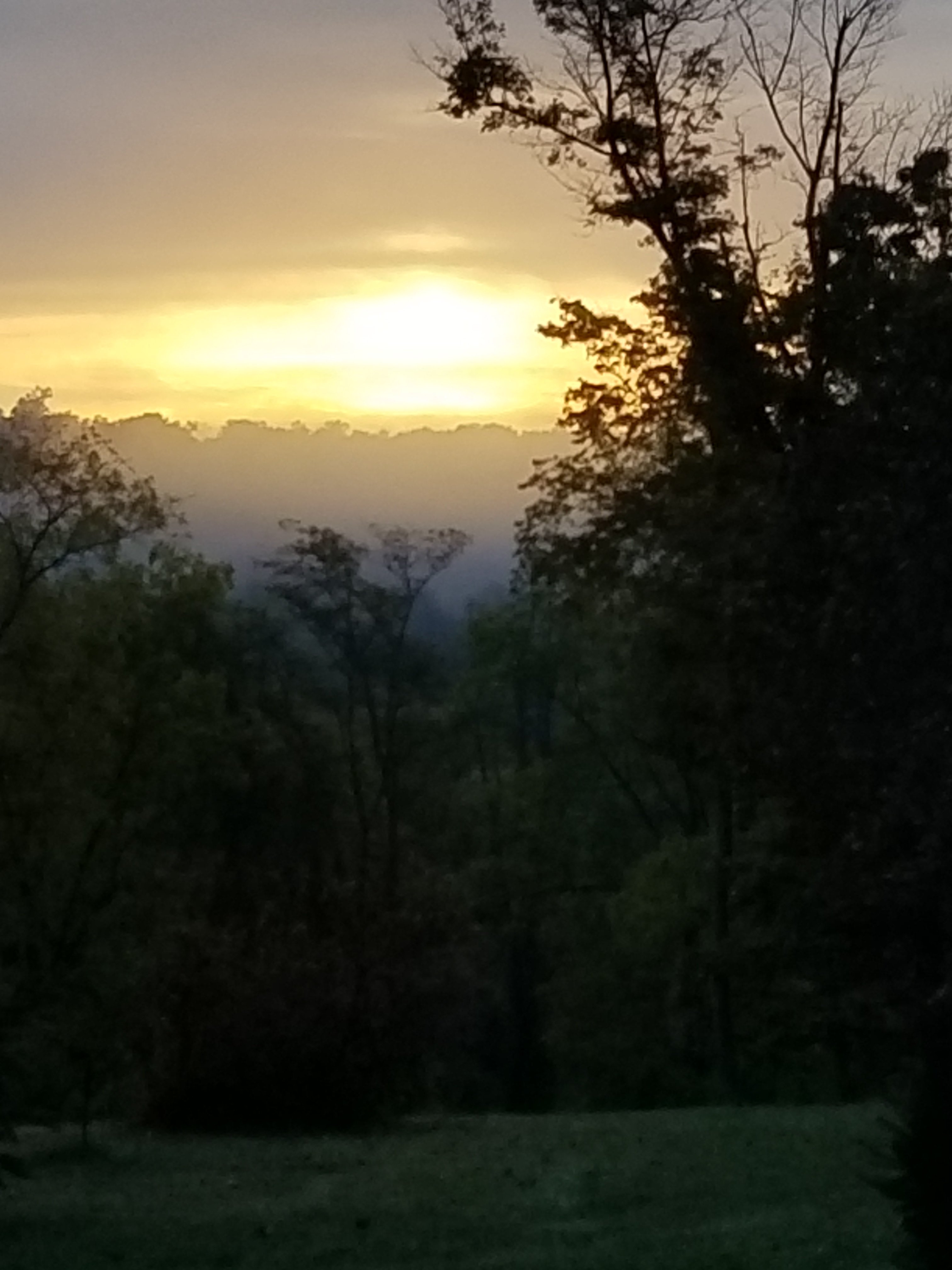 20221010_074452.jpg