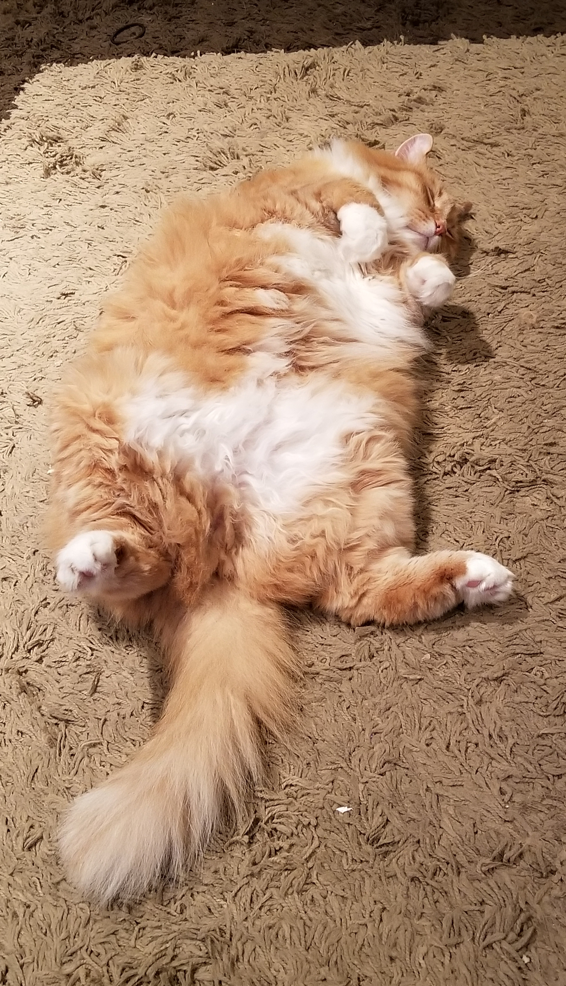20180912_184737.jpg