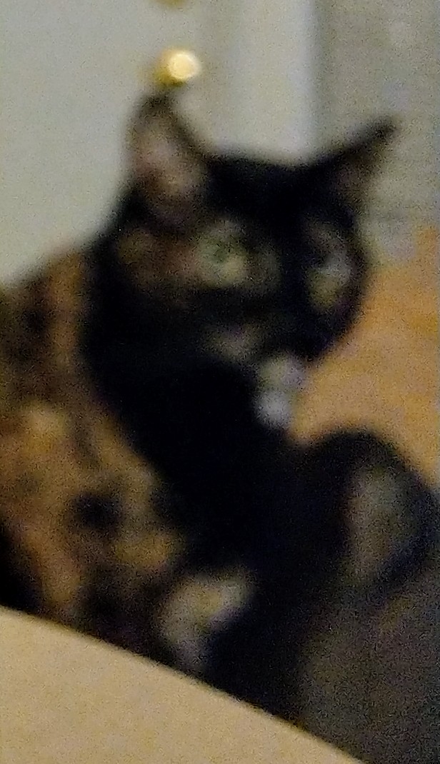 IMAG0451~3.jpg