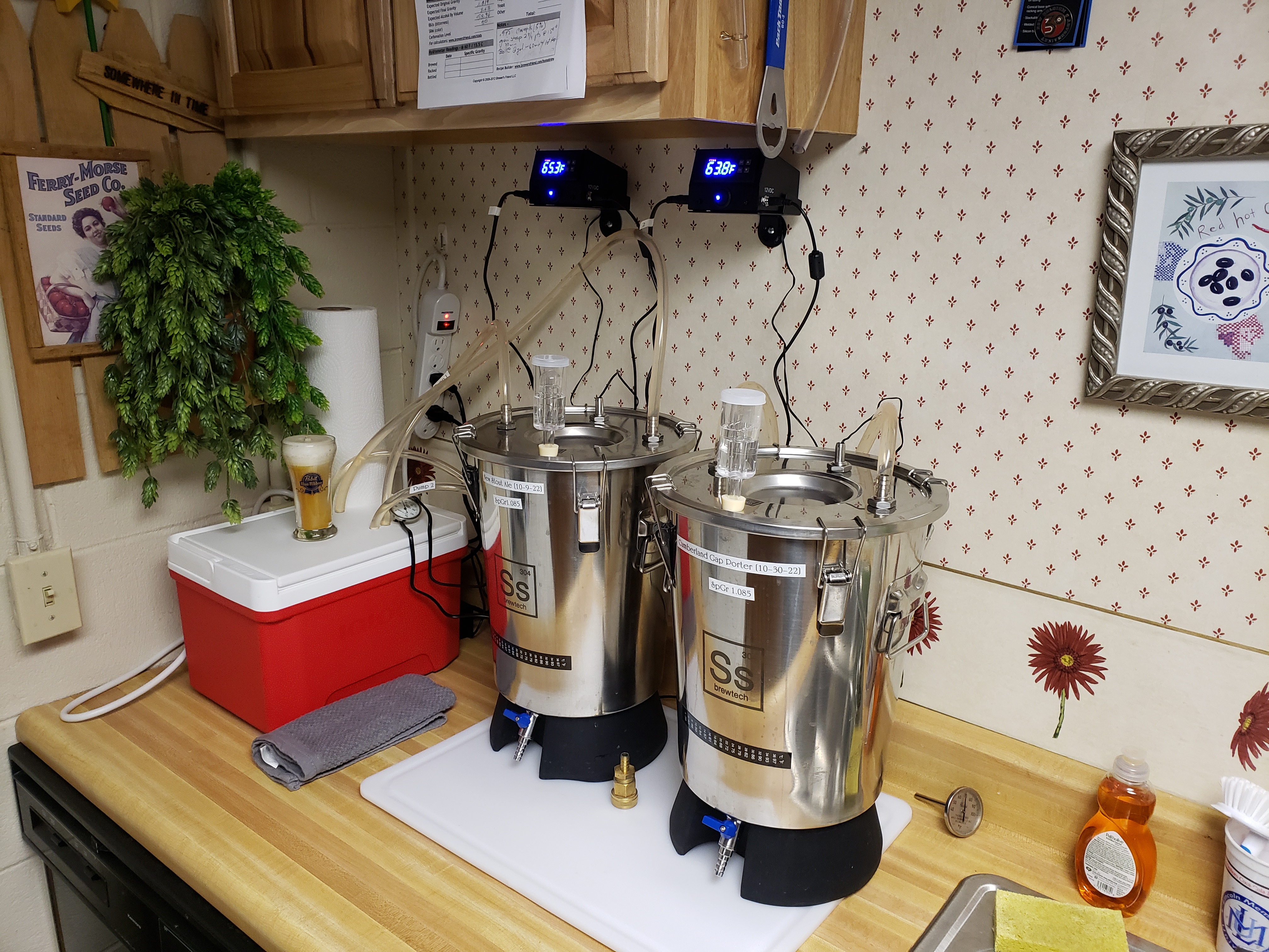 Hops Kitchen dual fermenters and temp control.jpg