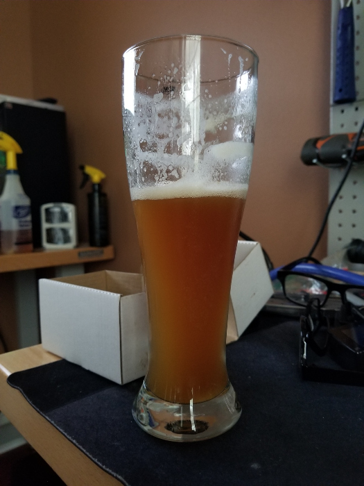 01 13 23 Rm Tmp Ale in tall glass small.jpg