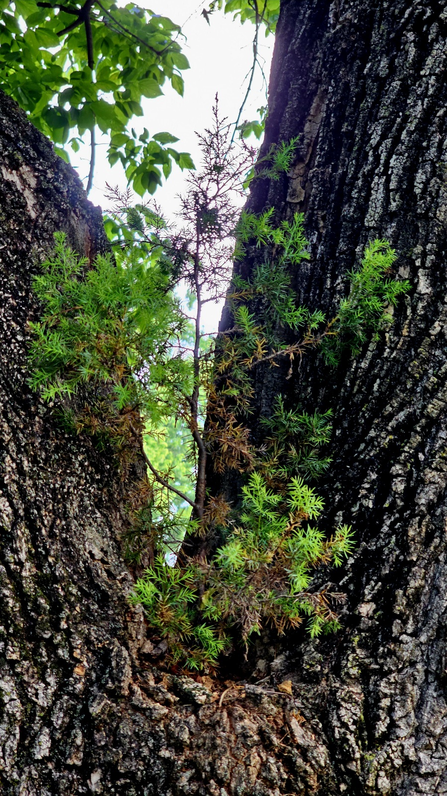 20230628_075121.jpg