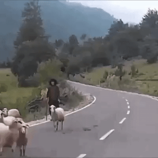 ezgif-com-video-to-gif-4.gif