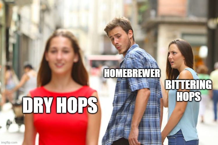 hops.jpg