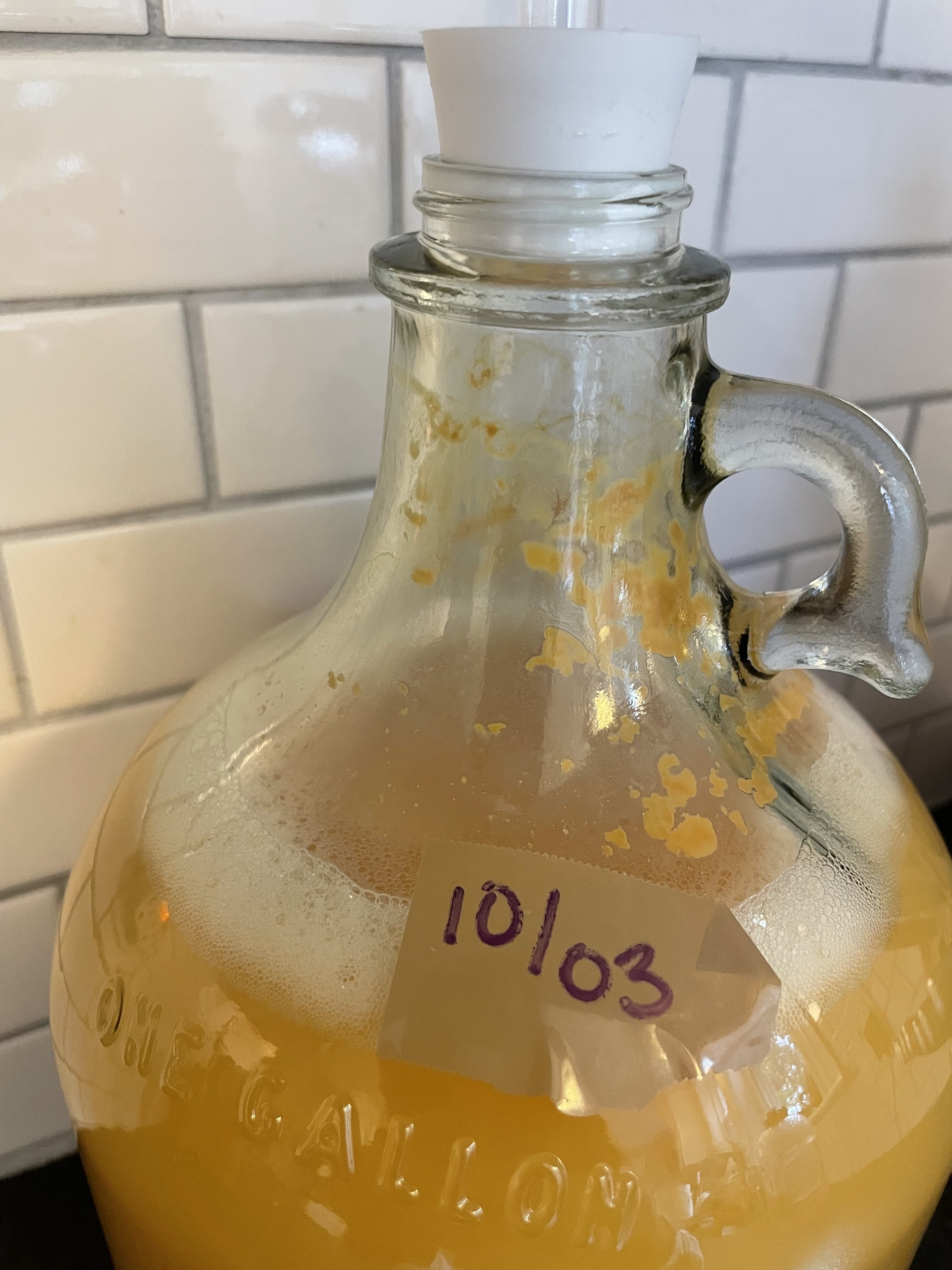 Cloudy, yellow cider....Is it contaminated? Homebrew Talk Beer