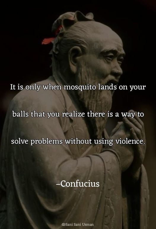 1697117521891.png