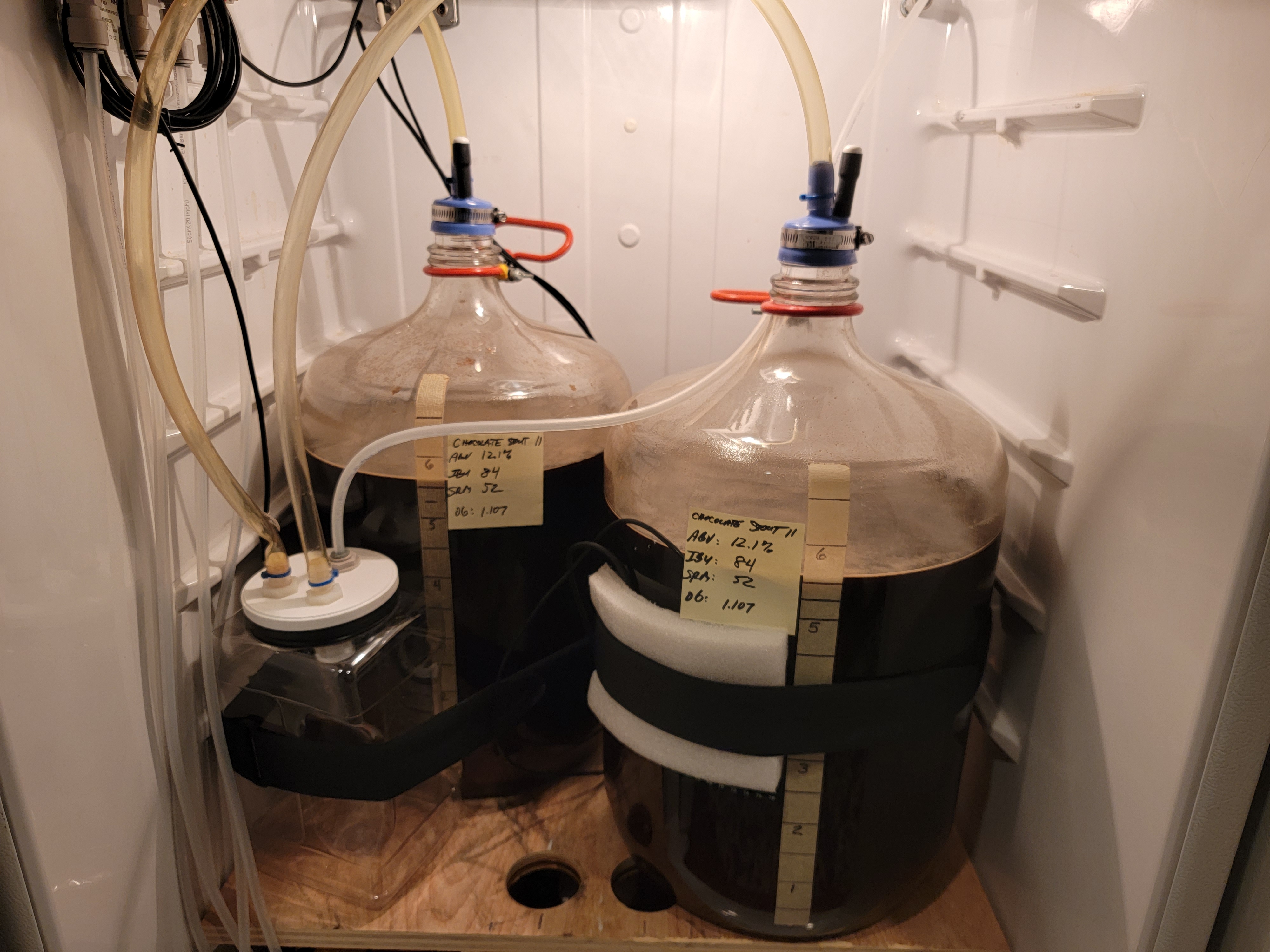 stout_11_24oct2023_1.jpg