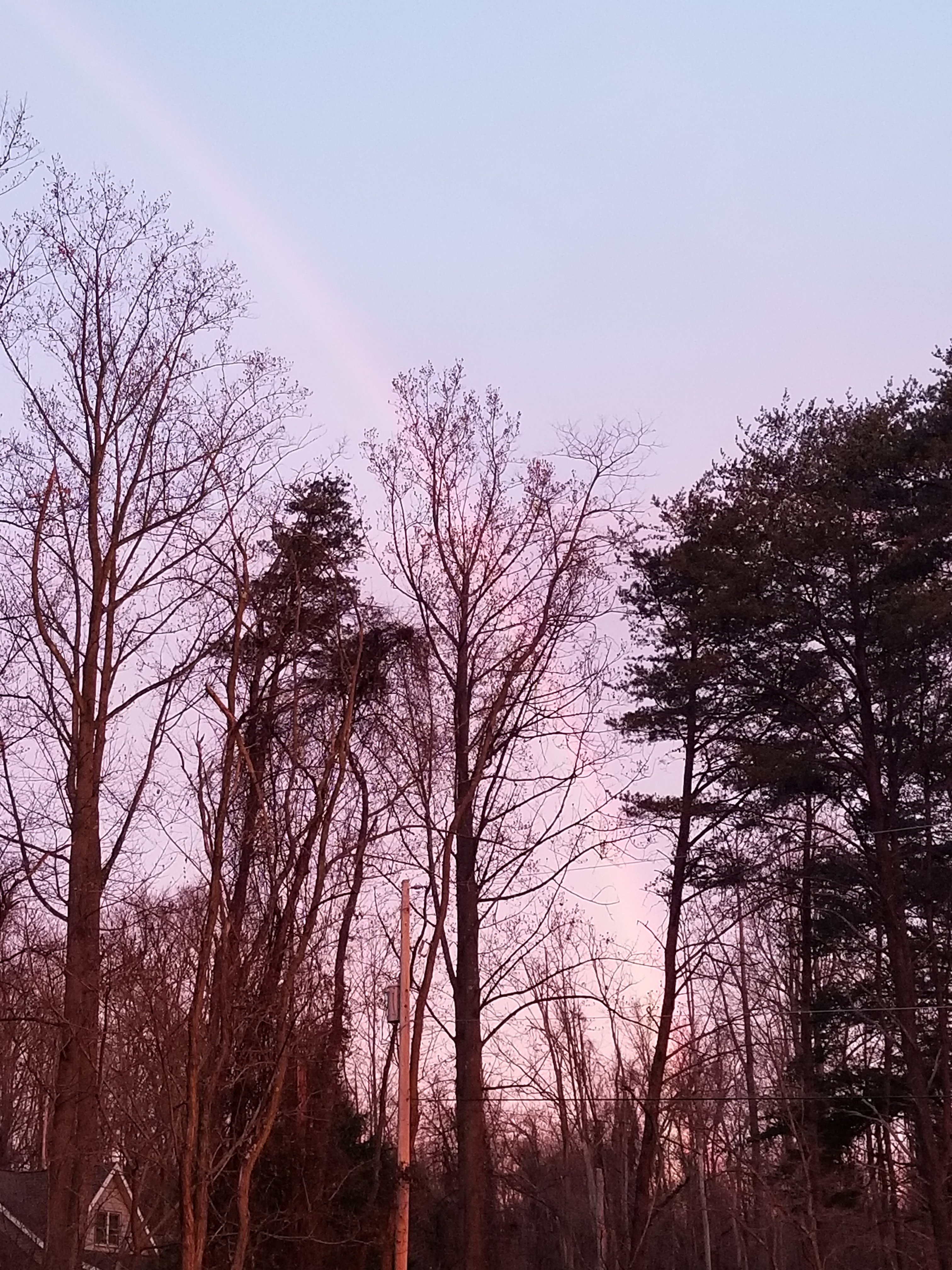 20231121_070341.jpg