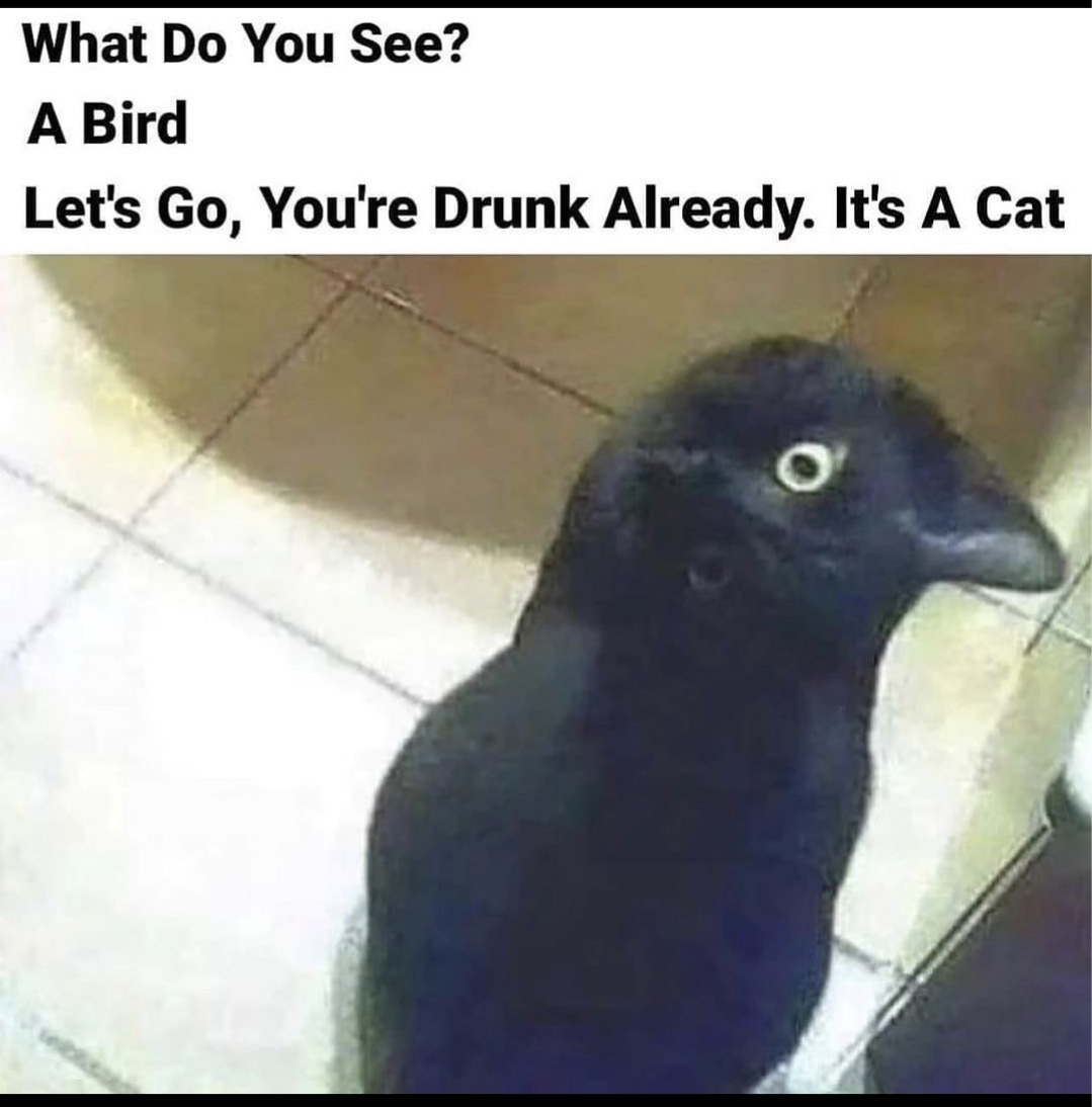 Screenshot_20231203-194748.png