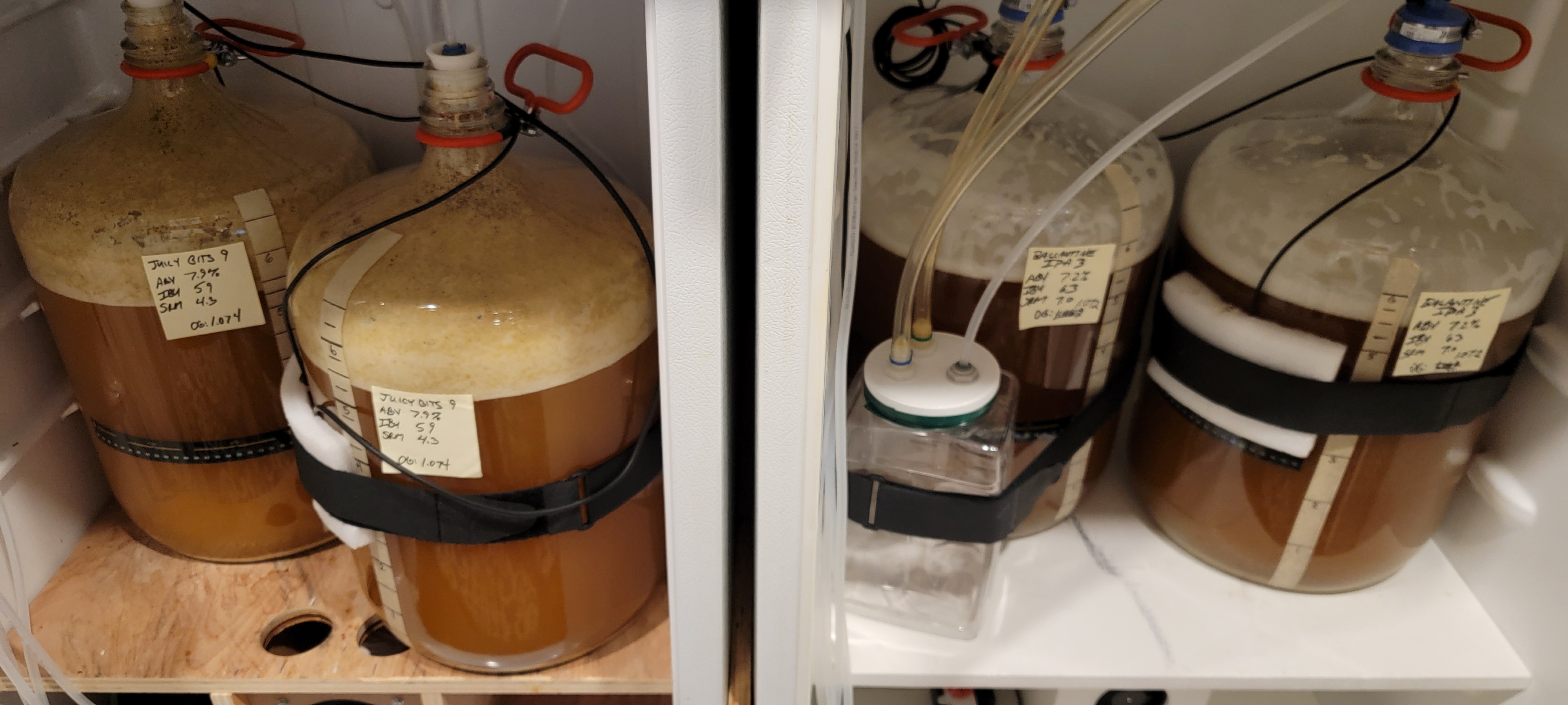 balantine_ipa_3_14jan2024_08.jpg