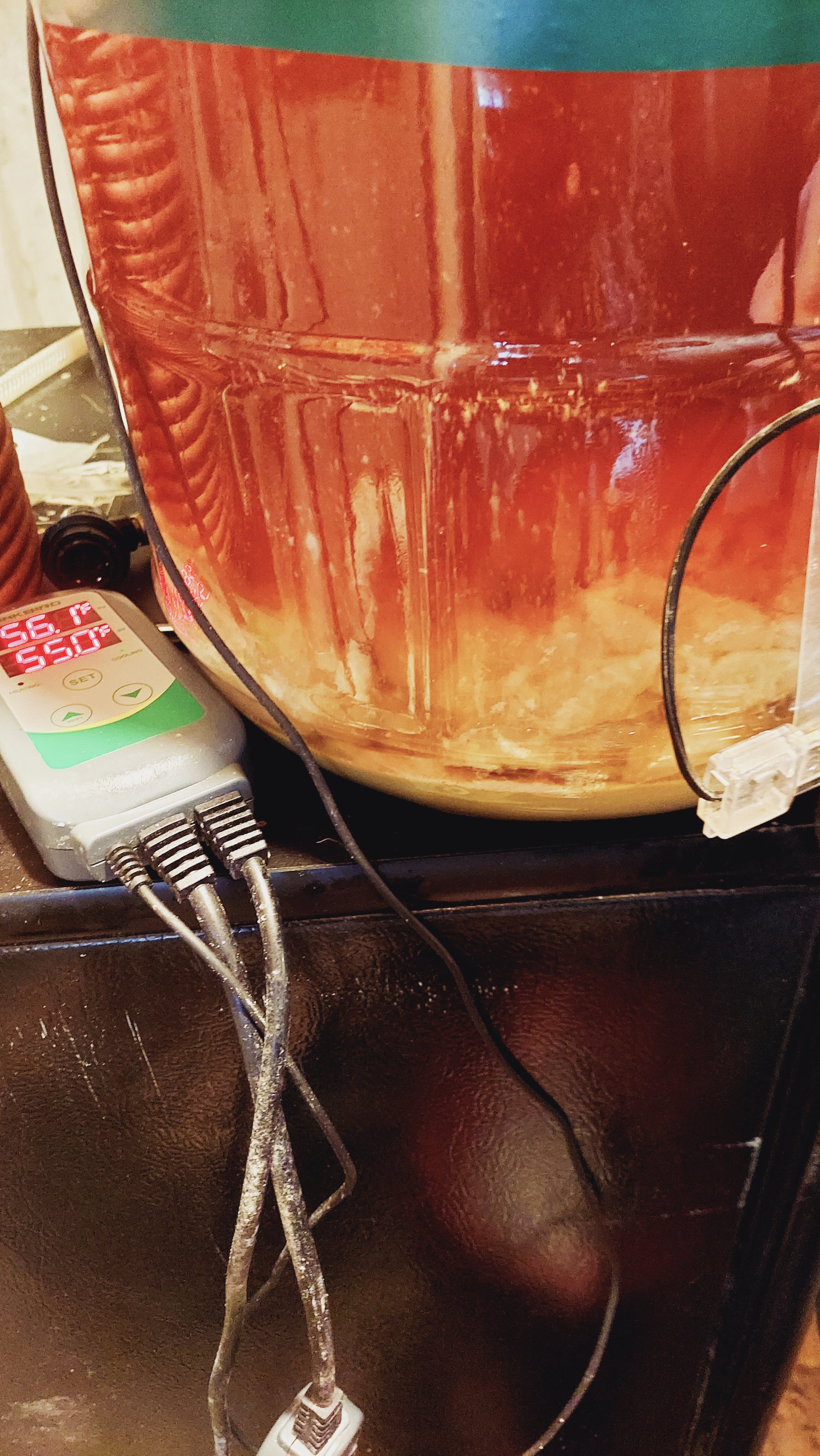 Cloudy floating residue above trub Homebrew Talk Beer, Wine, Mead