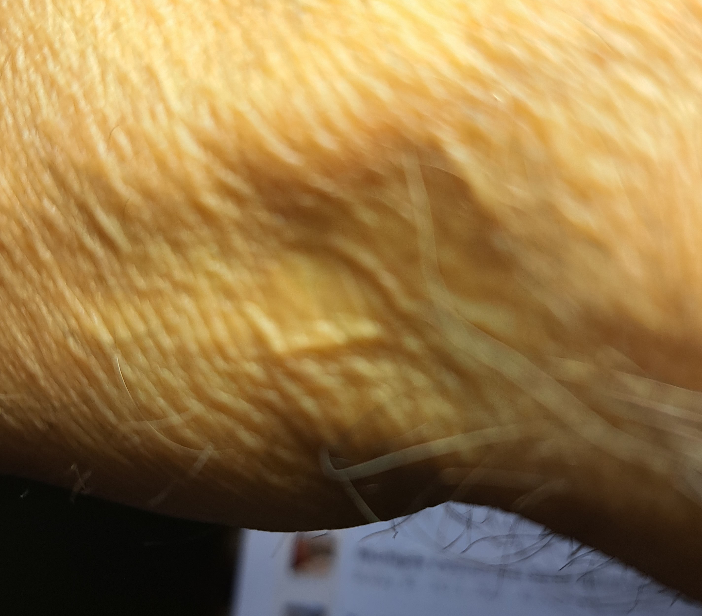 20240602_223236.jpeg