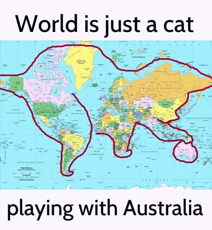 1717812701303.png