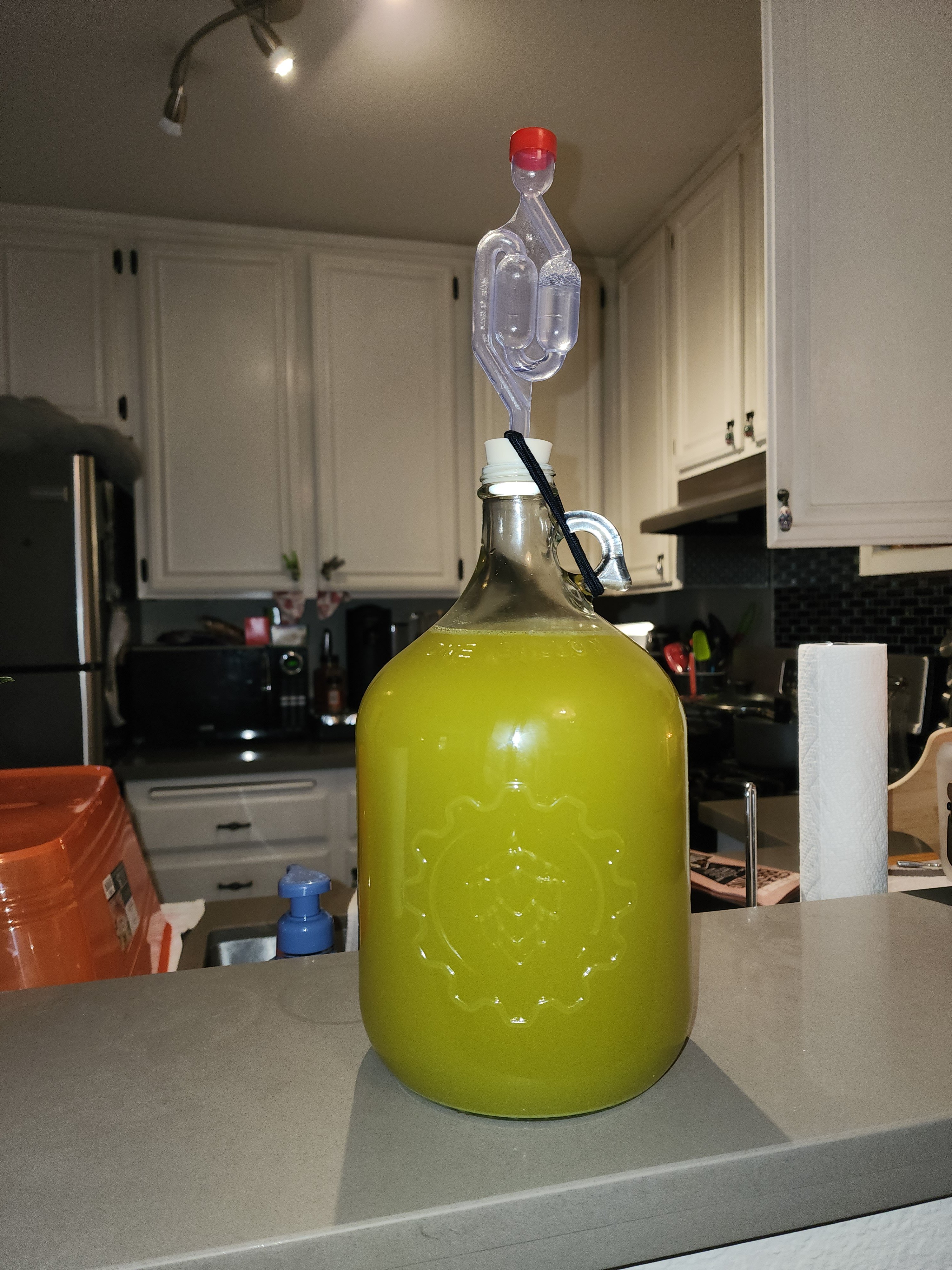 20240611_115545.jpg