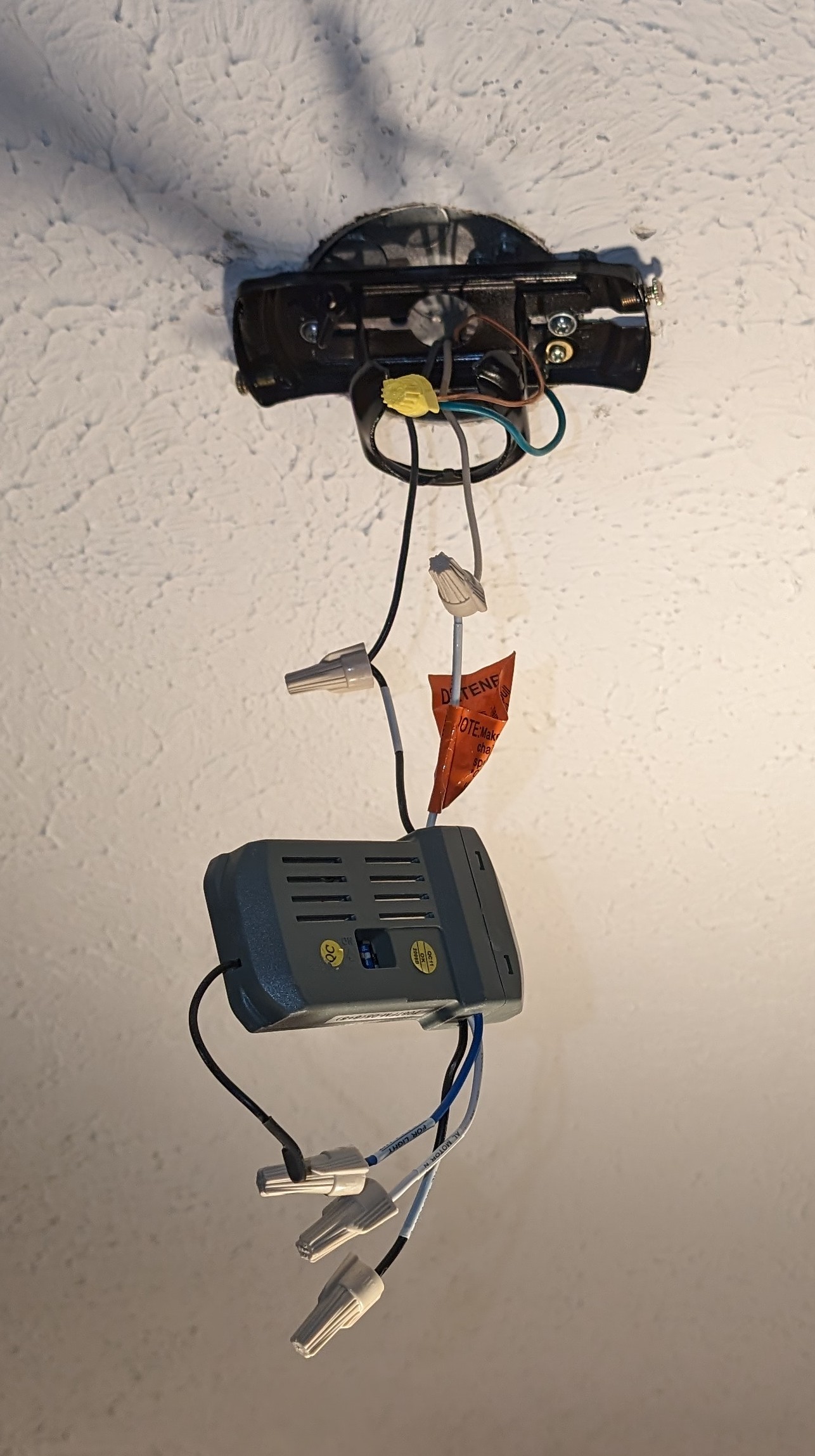 fan5.jpg