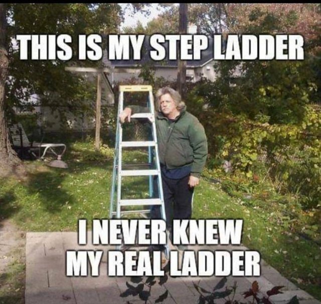 1000007240.jpg