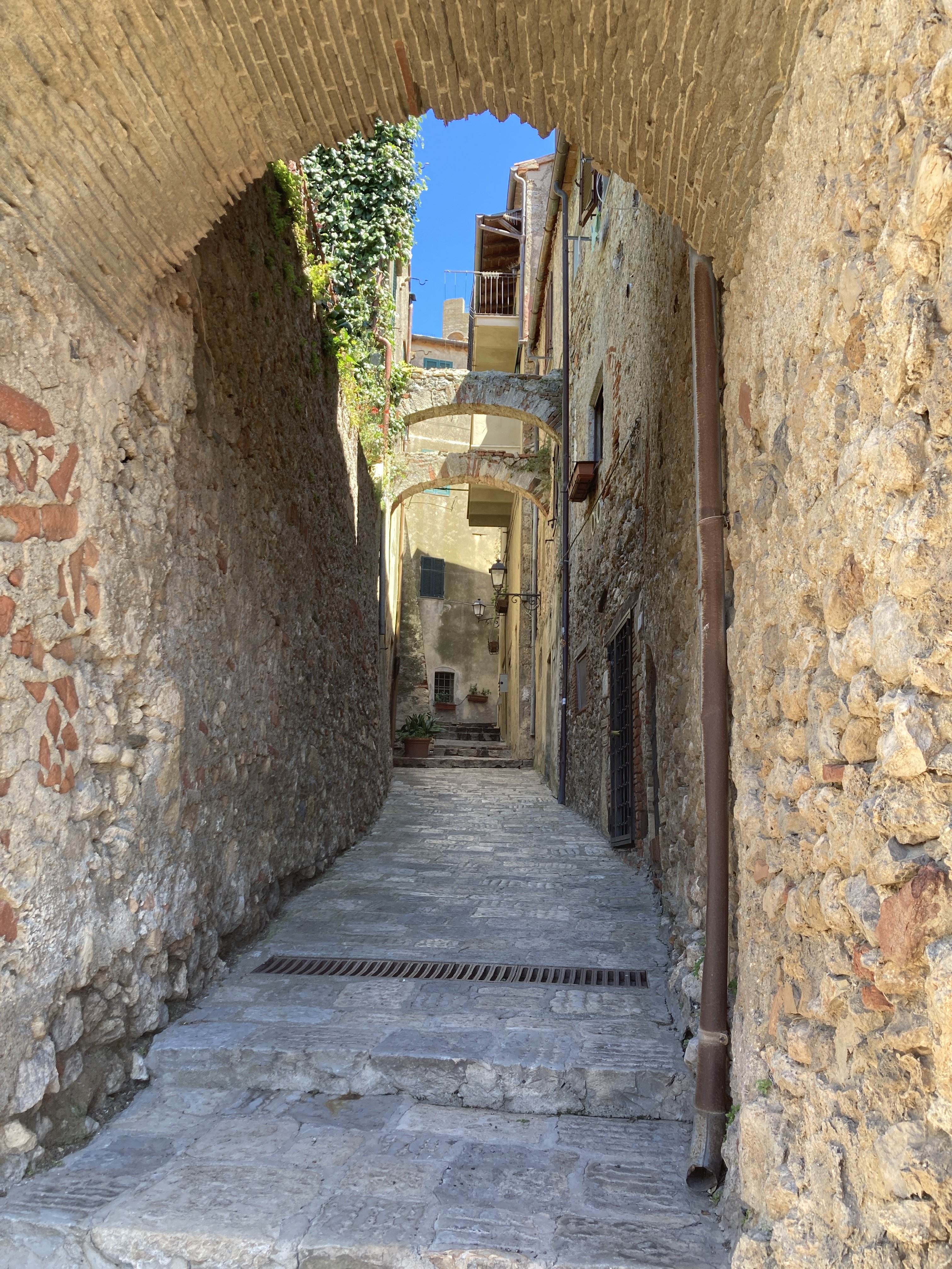 IMG_5636.jpeg