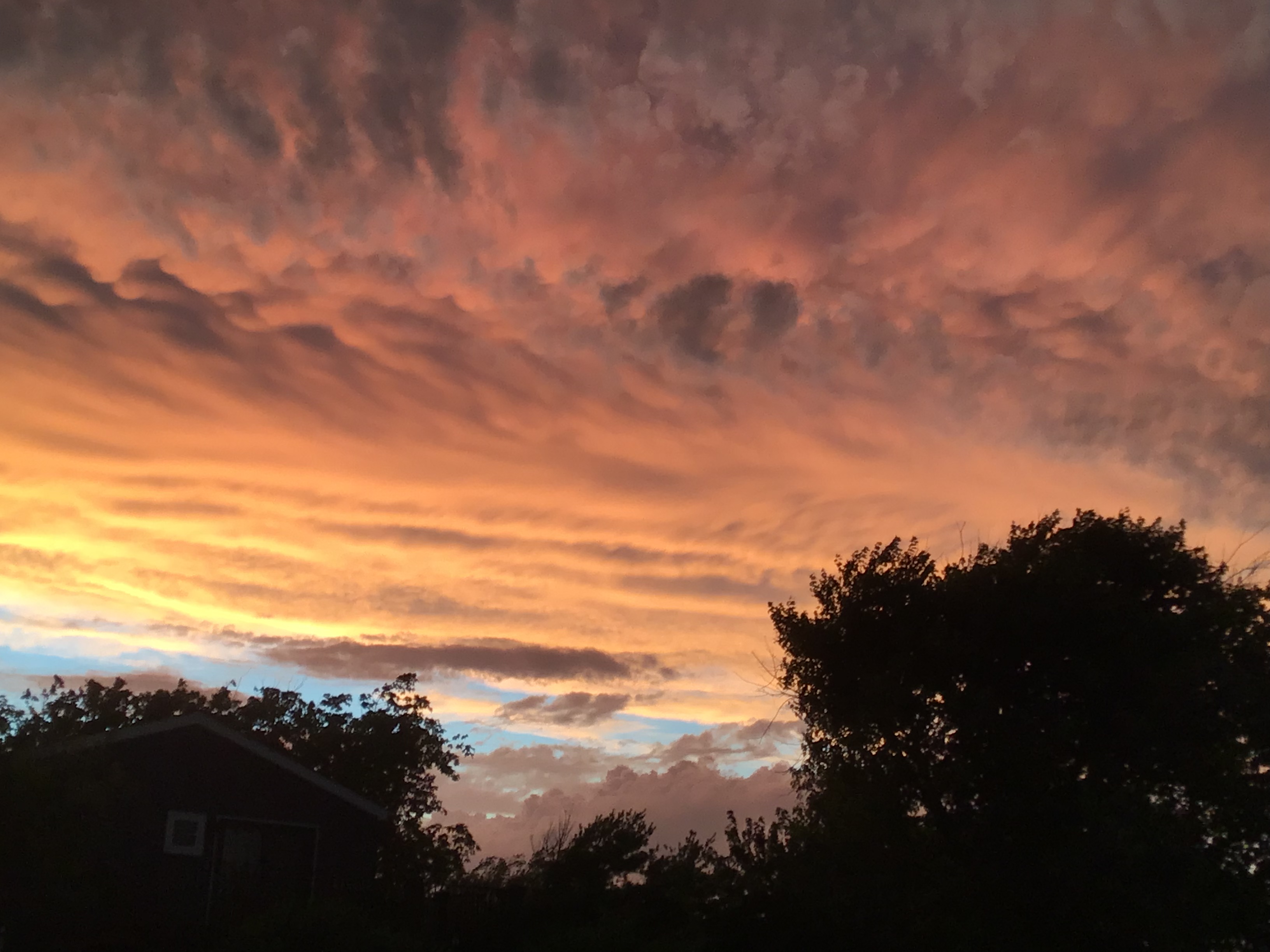D4B29237-1F17-406B-9A89-C60576DF7ED1.jpeg