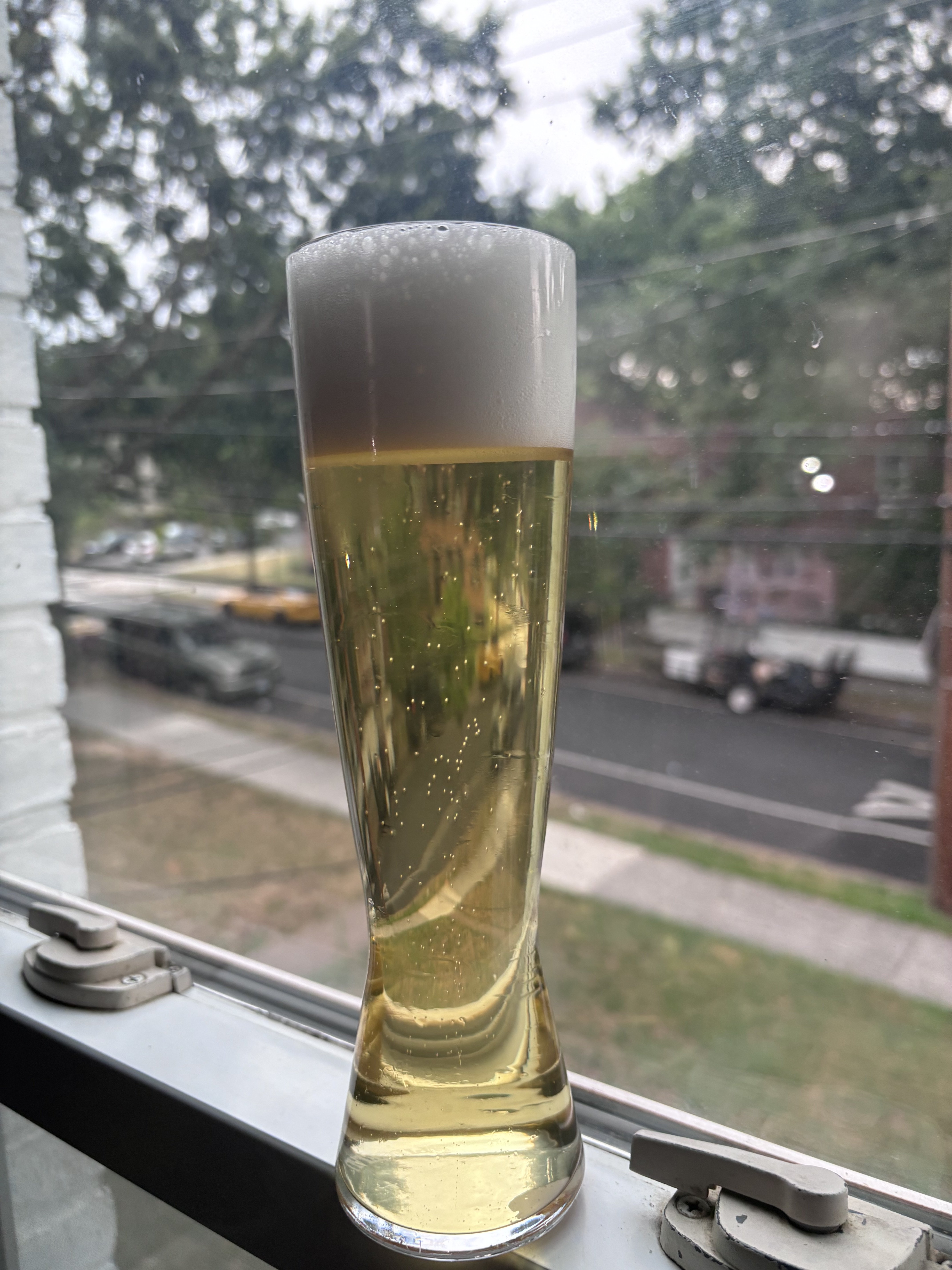 IMG_4384.jpeg