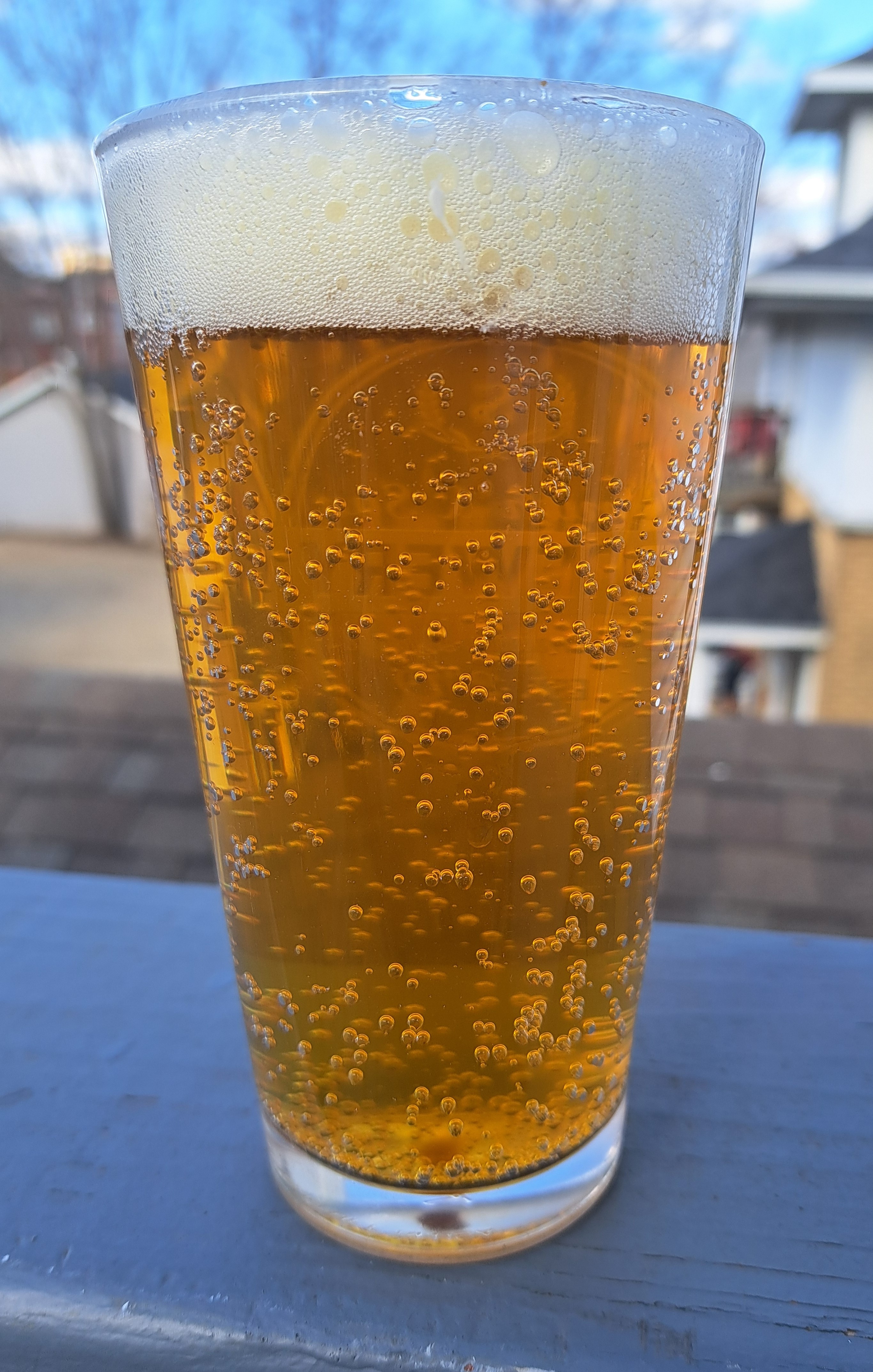 festbier.jpg