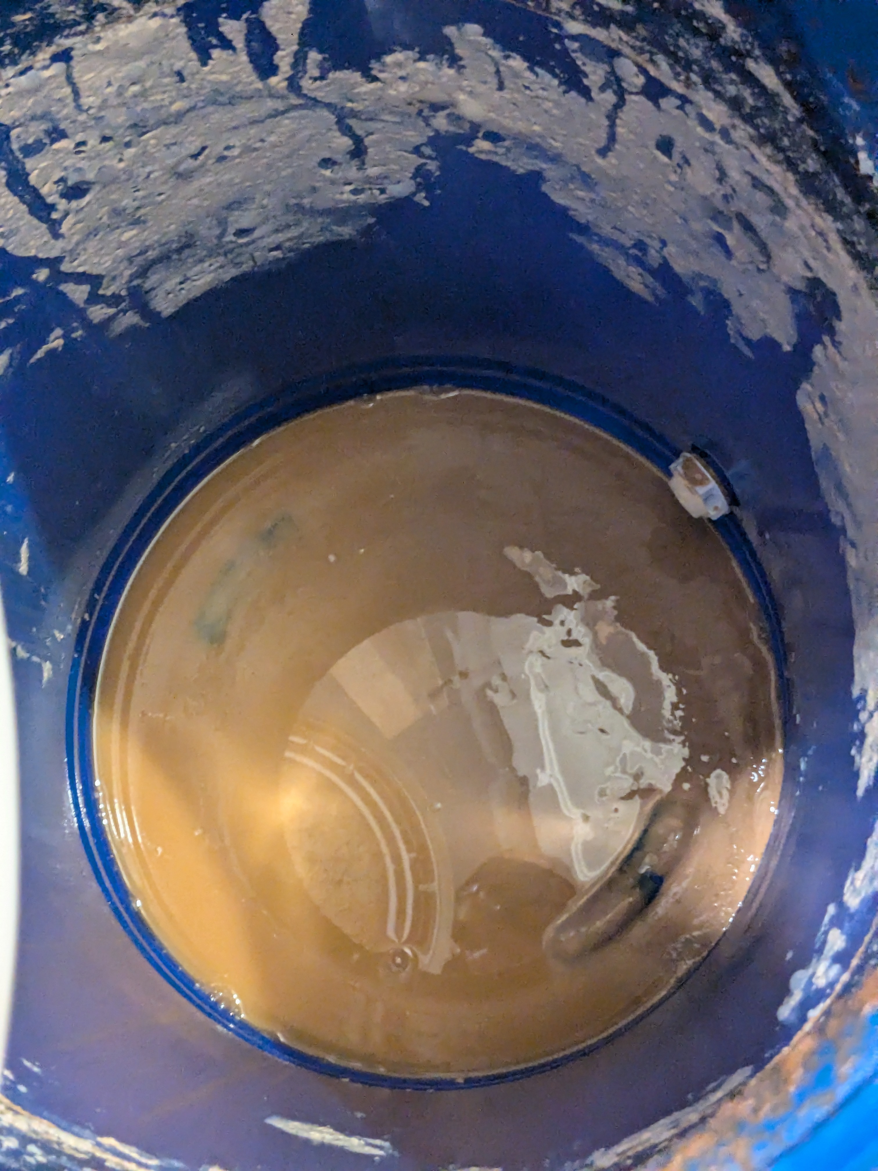 1000025100.jpg
