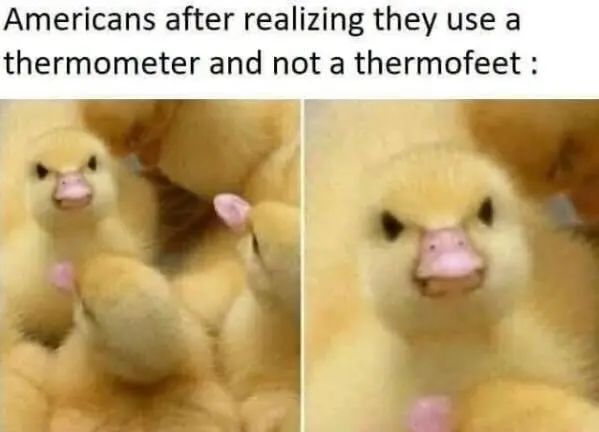 meter.jpg