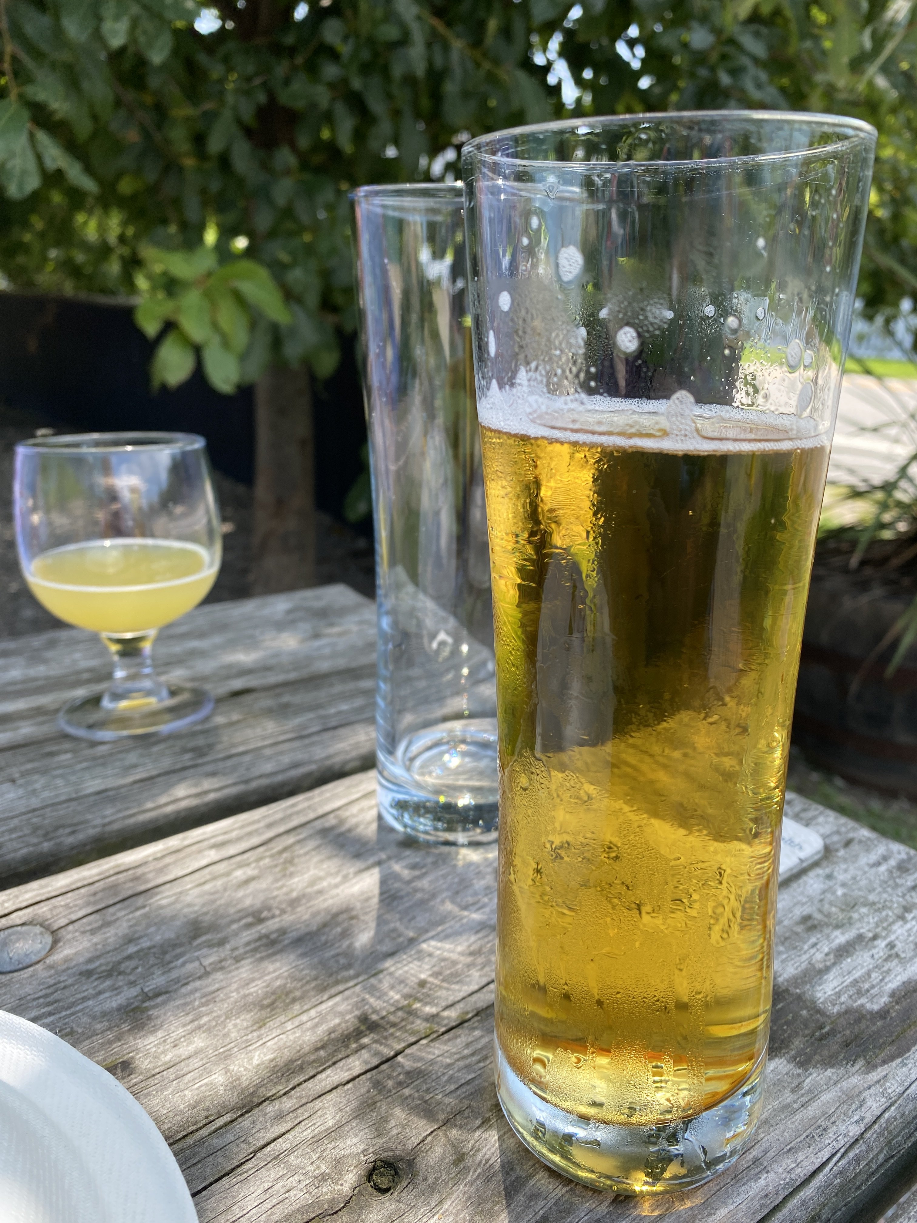 IMG_1314.jpeg