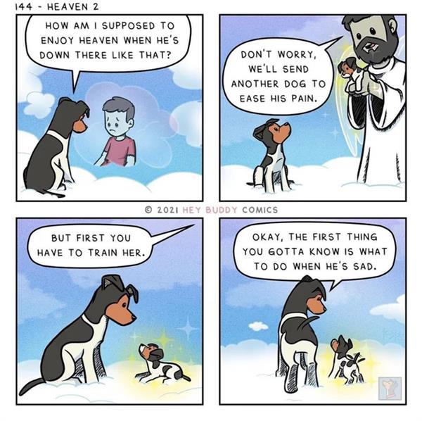 1722430860498.jpeg