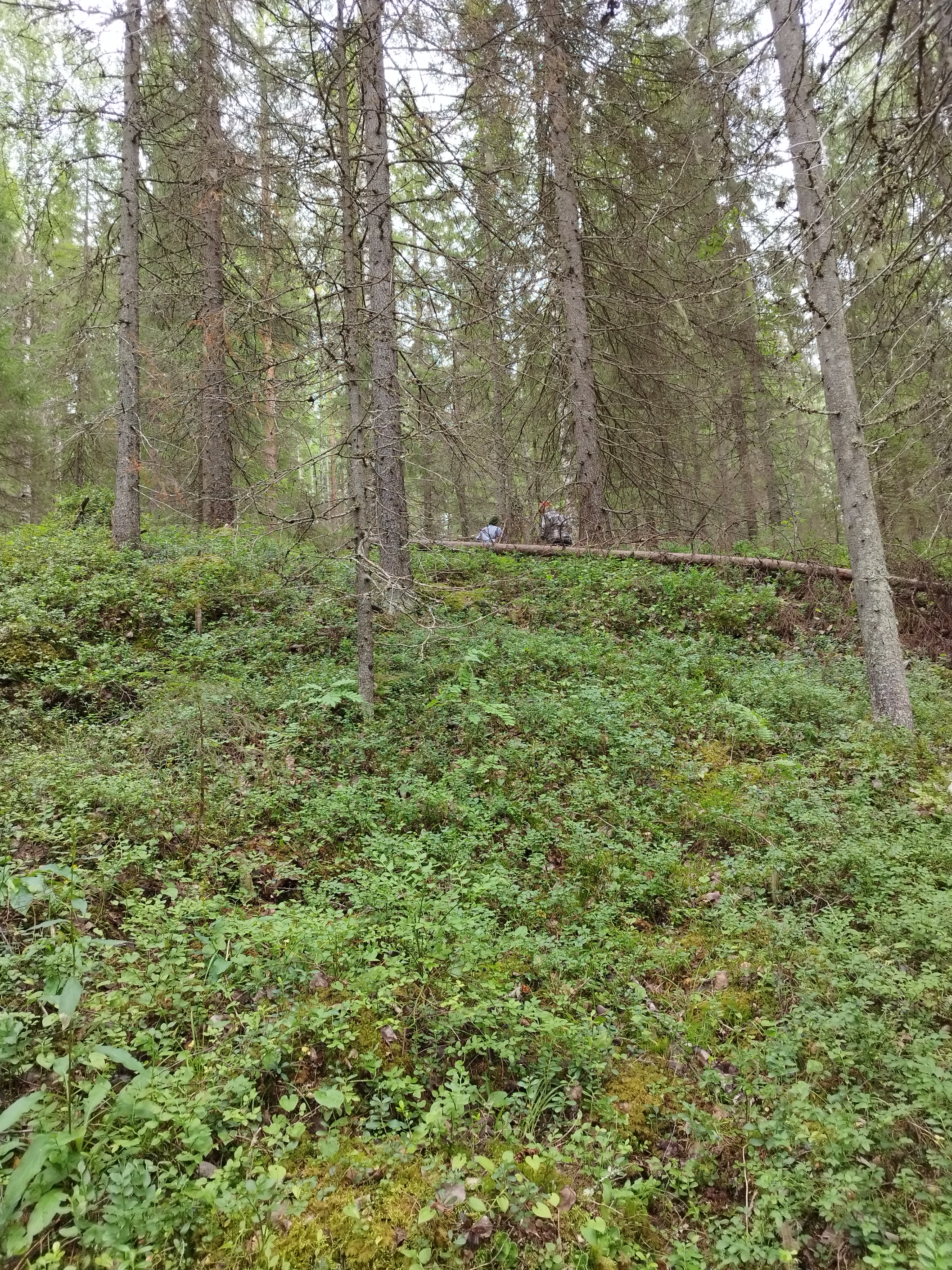 1000008000.jpg